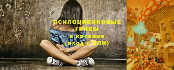 ГАЛЛЮЦИНОГЕННЫЕ ГРИБЫ Медвежьегорск